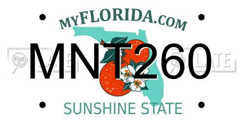 MNT260 Florida License Plate