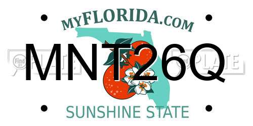 MNT26Q Florida License Plate