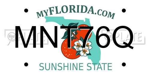 MNT76Q Florida License Plate