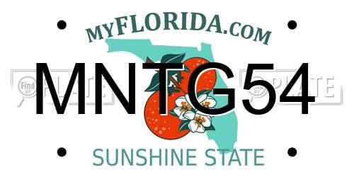 MNTG54 Florida License Plate