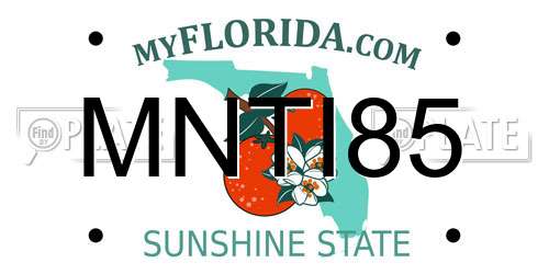 MNTI85 Florida License Plate