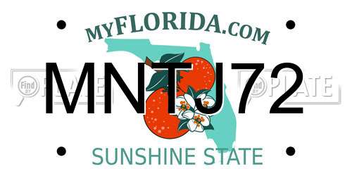 MNTJ72 Florida License Plate