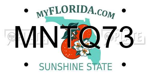 MNTQ73 Florida License Plate