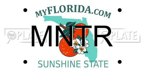 MNTR Florida License Plate
