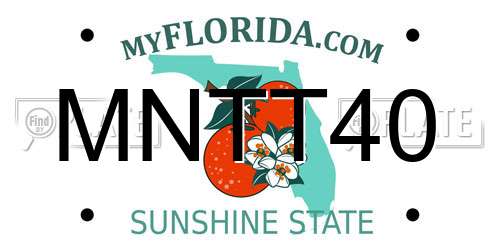 MNTT40 Florida License Plate
