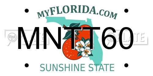 MNTT60 Florida License Plate
