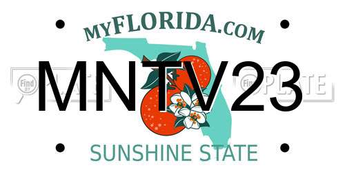 MNTV23 Florida License Plate