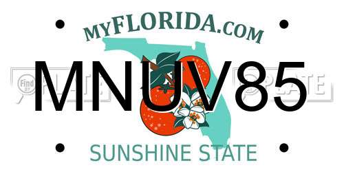 MNUV85 Florida License Plate