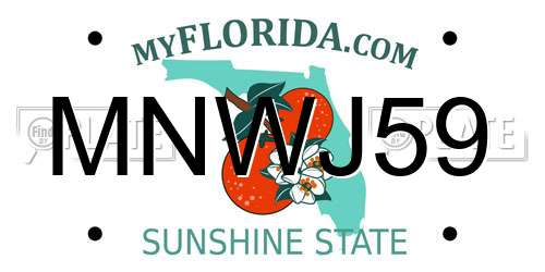 MNWJ59 Florida License Plate