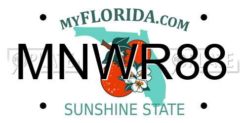 MNWR88 Florida License Plate