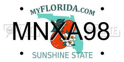 MNXA98 Florida License Plate