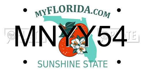 MNYY54 Florida License Plate