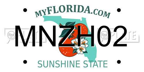 MNZH02 Florida License Plate