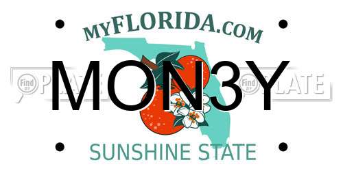 MON3Y Florida License Plate