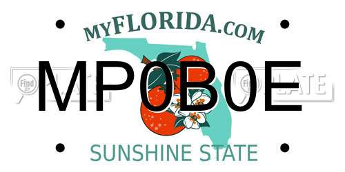 MP0B0E Florida License Plate