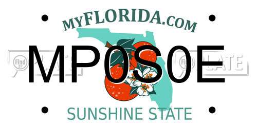 MP0S0E Florida License Plate
