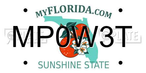 MP0W3T Florida License Plate