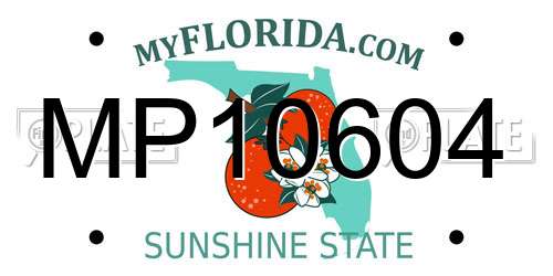 MP10604 Florida License Plate