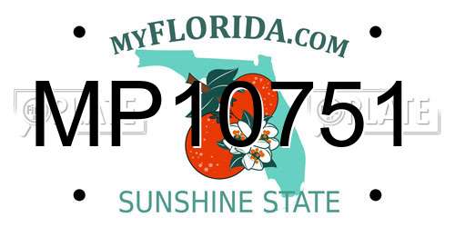 MP10751 Florida License Plate
