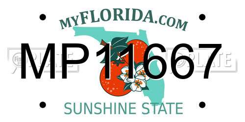 MP11667 Florida License Plate