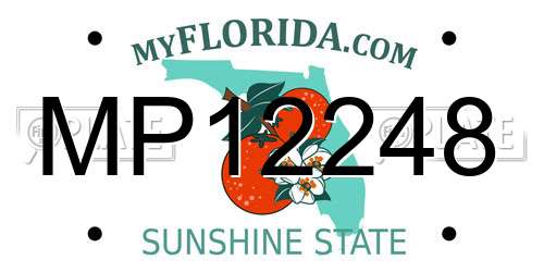 MP12248 Florida License Plate