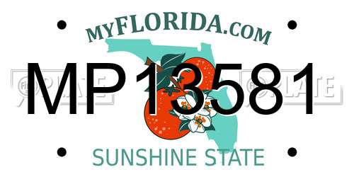MP13581 Florida License Plate