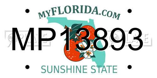 MP13893 Florida License Plate