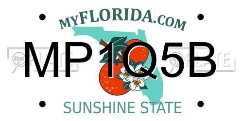 MP1Q5B Florida License Plate