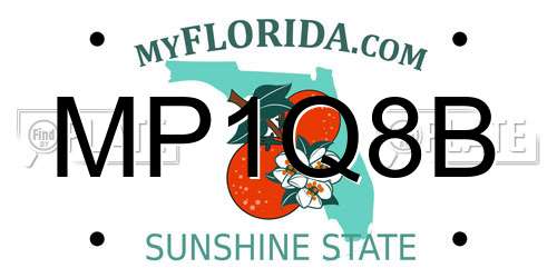 MP1Q8B Florida License Plate