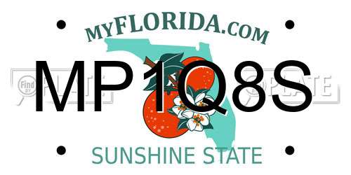 MP1Q8S Florida License Plate