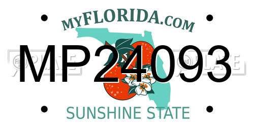 MP24093 Florida License Plate