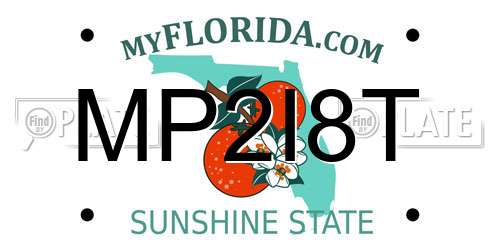 MP2I8T Florida License Plate