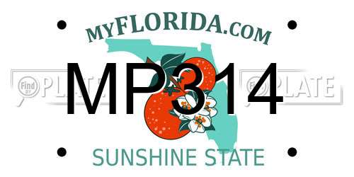 MP314 Florida License Plate