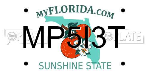 MP5I3T Florida License Plate