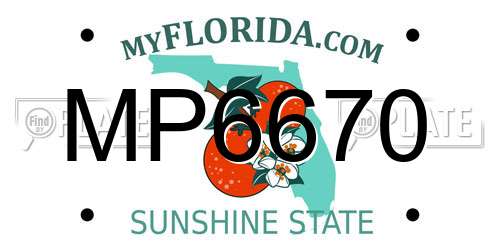 MP6670 Florida License Plate