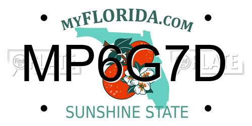 MP6G7D Florida License Plate