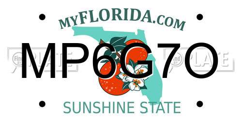 MP6G7O Florida License Plate