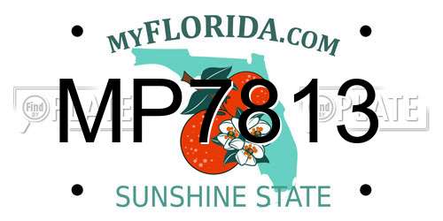 MP7813 Florida License Plate