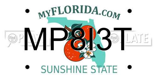 MP8I3T Florida License Plate