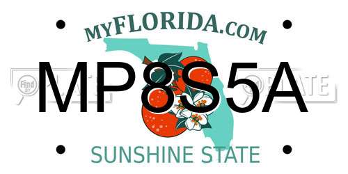 MP8S5A Florida License Plate