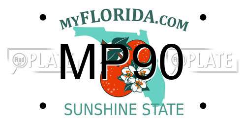 MP90 Florida License Plate