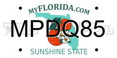MPDQ85 Florida License Plate