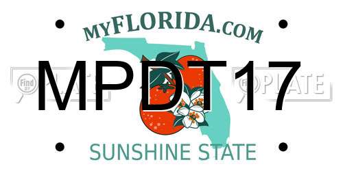 MPDT17 Florida License Plate