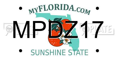 MPDZ17 Florida License Plate