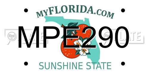 MPE290 Florida License Plate