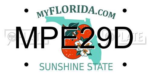 MPE29D Florida License Plate