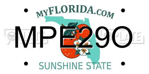 MPE29O Florida License Plate