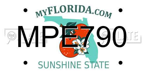 MPE790 Florida License Plate