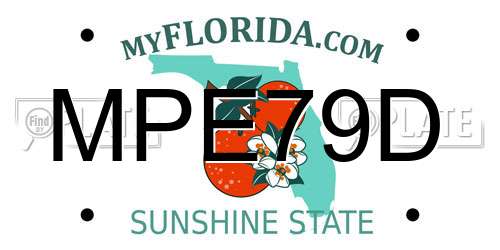 MPE79D Florida License Plate