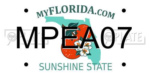 MPEA07 Florida License Plate